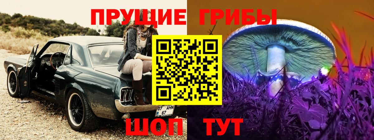 Псилоцибиновые грибы MAGIC MUSHROOMS  Псилоцибиновые грибы Magic Shrooms  Касимов  Вход с VPN 