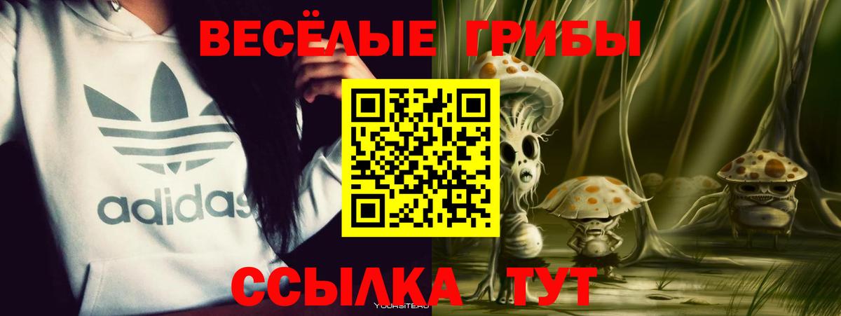 Псилоцибиновые грибы прущие грибы Касимов
